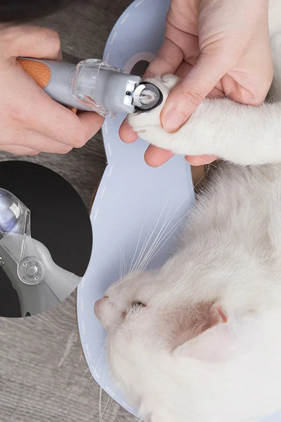 Professional Pet Nail Clipper Scissors With LED Light Cat Dog Nail Clippers Tool Scissors Nail Toeclaw Cutter Scissors Pet Suppl