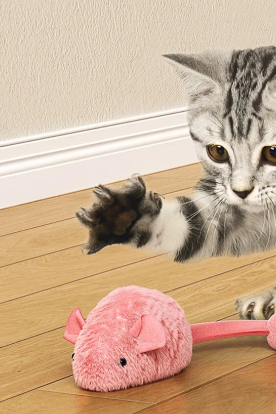 Plush Interactive Chew Cat Toy Indoor Plush Mice Luminous Toy Auto Moving Mice With Squeaky Sound Kitten Chase Toy Pet Supplies