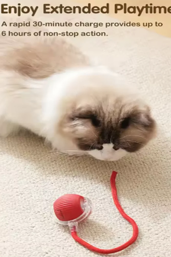Intelligent interactive cat ball long-lasting and durable easy to clean intelligent obstacle avoidance pet dog toys
