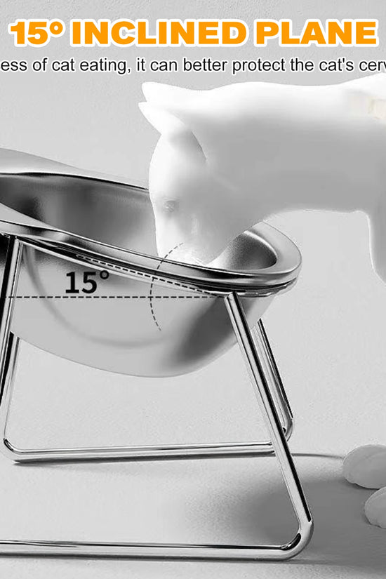 Stainless Steel Pet Bowl Slanted Anti Cervical Spondylosis for Cats and Dogs Dual Use Feeder