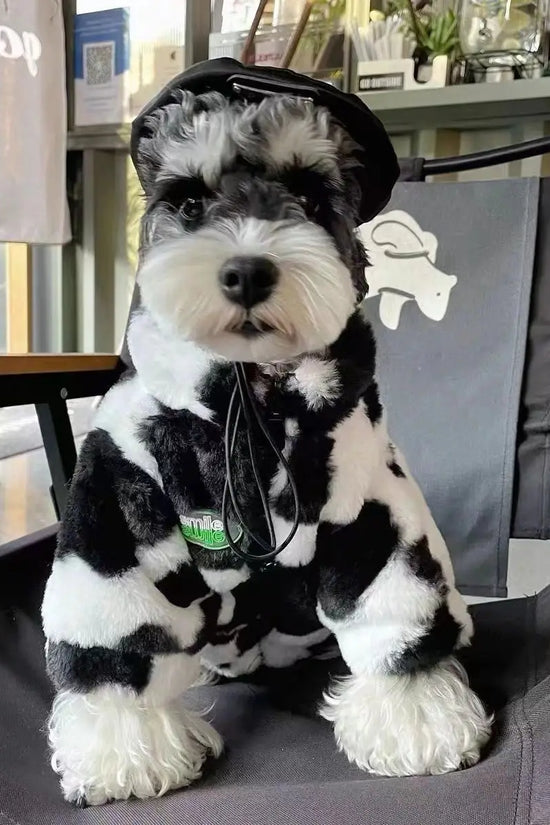 Dog clothes autumn and winter warm schnauzer fah bichon teddy small and medium-sized dogs and cats thickened fur coat