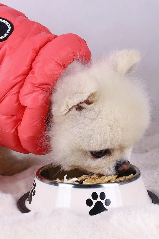 1PC Stainless Steel Pet Bowl Cat Bowl Dog Food Bowl Multi-Specification Anti-fall Food Bowl Food Bowl Feeding Pet Supplies