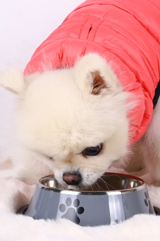 1PC Stainless Steel Pet Bowl Cat Bowl Dog Food Bowl Multi-Specification Anti-fall Food Bowl Food Bowl Feeding Pet Supplies