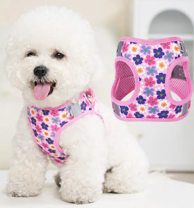 HP386--Pet cat & dog printed vest style harness, 360° fit to the pet's body shape, 1.5-meter dog rope.