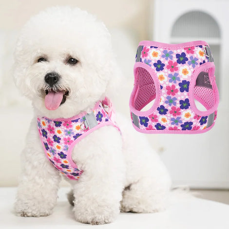 HP386--Pet cat & dog printed vest style harness, 360° fit to the pet's body shape, 1.5-meter dog rope.