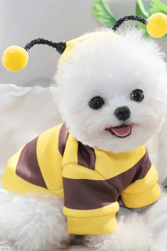 Bee Pet Puppy Coat Apparel Outfit Dog Halloween Hoodies Winter Cat Cosplay Costume Holiday Outfit for Small Medium Dogs & Cats