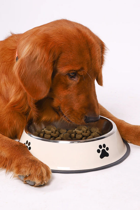 1PC Stainless Steel Pet Bowl Cat Bowl Dog Food Bowl Multi-Specification Anti-fall Food Bowl Food Bowl Feeding Pet Supplies