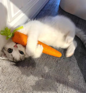 Cat Toys Sound Carrot Cuddle cat stick since fun fun cat teething stick anti-bite cat scratch board pet supplies