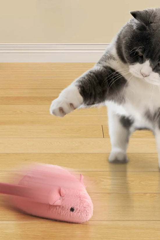 Plush Interactive Chew Cat Toy Indoor Plush Mice Luminous Toy Auto Moving Mice With Squeaky Sound Kitten Chase Toy Pet Supplies