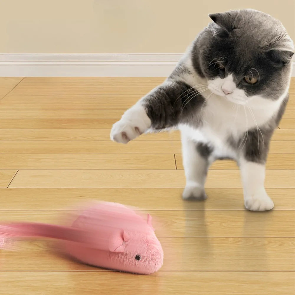 Plush Interactive Chew Cat Toy Indoor Plush Mice Luminous Toy Auto Moving Mice With Squeaky Sound Kitten Chase Toy Pet Supplies