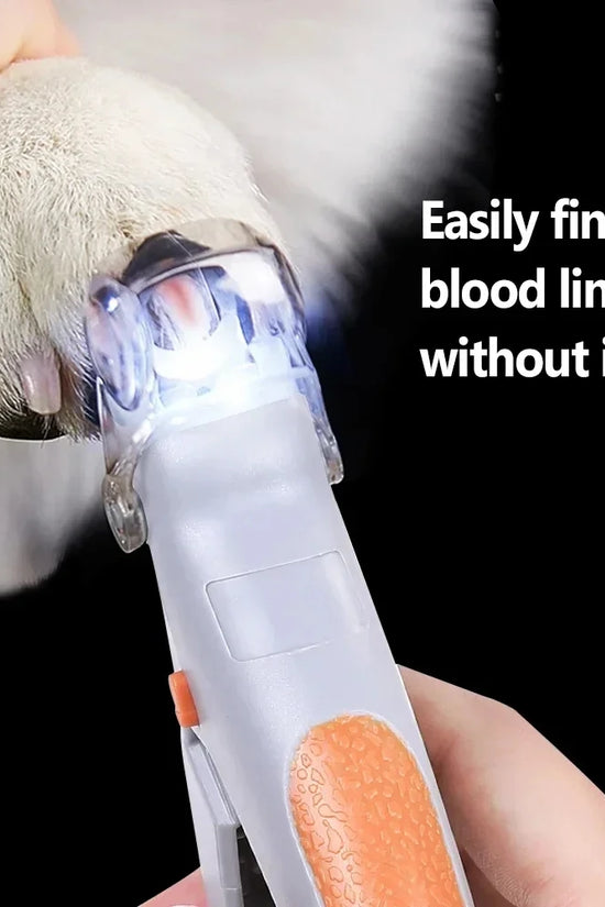 Professional Pet Nail Clipper Scissors With LED Light Cat Dog Nail Clippers Tool Scissors Nail Toeclaw Cutter Scissors Pet Suppl