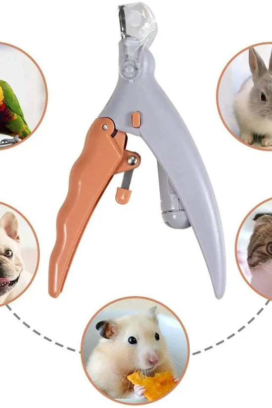 Professional Pet Nail Clipper Scissors With LED Light Cat Dog Nail Clippers Tool Scissors Nail Toeclaw Cutter Scissors Pet Suppl