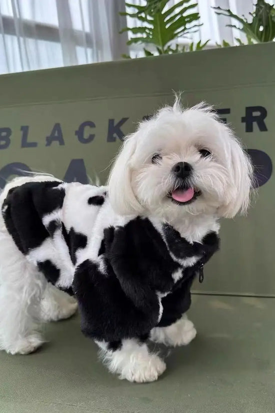 Dog clothes autumn and winter warm schnauzer fah bichon teddy small and medium-sized dogs and cats thickened fur coat