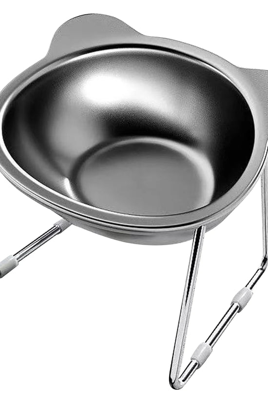 Stainless Steel Pet Bowl Slanted Anti Cervical Spondylosis for Cats and Dogs Dual Use Feeder
