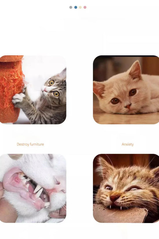 Cat Toys Sound Carrot Cuddle cat stick since fun fun cat teething stick anti-bite cat scratch board pet supplies