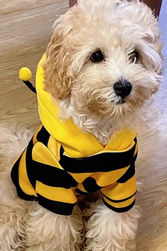 Bee Pet Puppy Coat Apparel Outfit Dog Halloween Hoodies Winter Cat Cosplay Costume Holiday Outfit for Small Medium Dogs & Cats