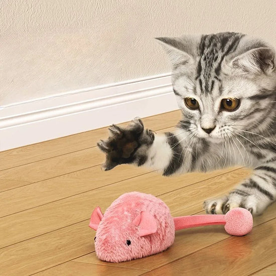 Plush Interactive Chew Cat Toy Indoor Plush Mice Luminous Toy Auto Moving Mice With Squeaky Sound Kitten Chase Toy Pet Supplies