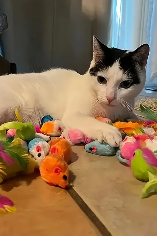 56pcs/28pcs/14pcs Cat Toys Mixed Pack. A Combination of Various Plastic Toys and Plush Toys Suitable for Multiple Cats To Play